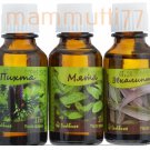 Set for sauna, SPA of essential cosmetic oils 3x17ml - mint, fir, eucalyptus