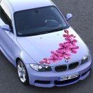Lilac Flowers Girls  Full Color Car Decal Sticker KR-97 FRST