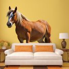 Big Horse Animal Zoo Farm Full Color Wall Decal Sticker AN-110 FRST