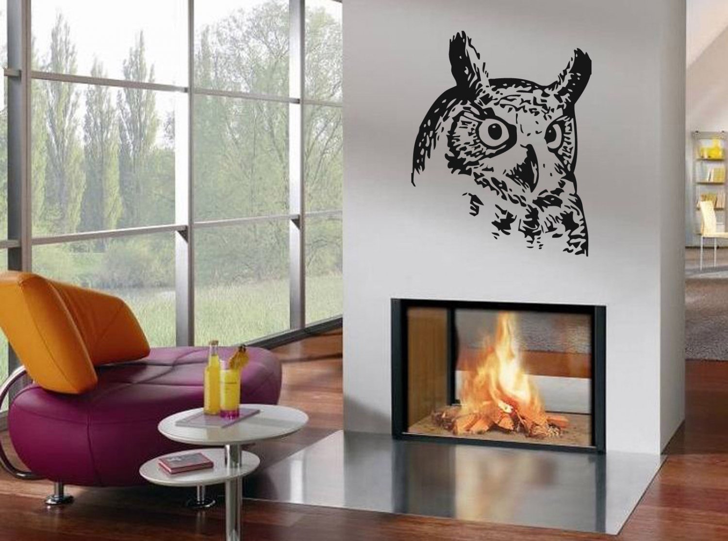 Wall Decor Vinyl Decal Sticker Owl tz908