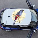 Gray Bird Animals Wildlife Full Color Car Decal Sticker KC-352 FRST