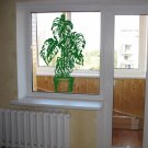Landscape flower a plant tree window Room Stylish Wall Art Sticker Decal 9369