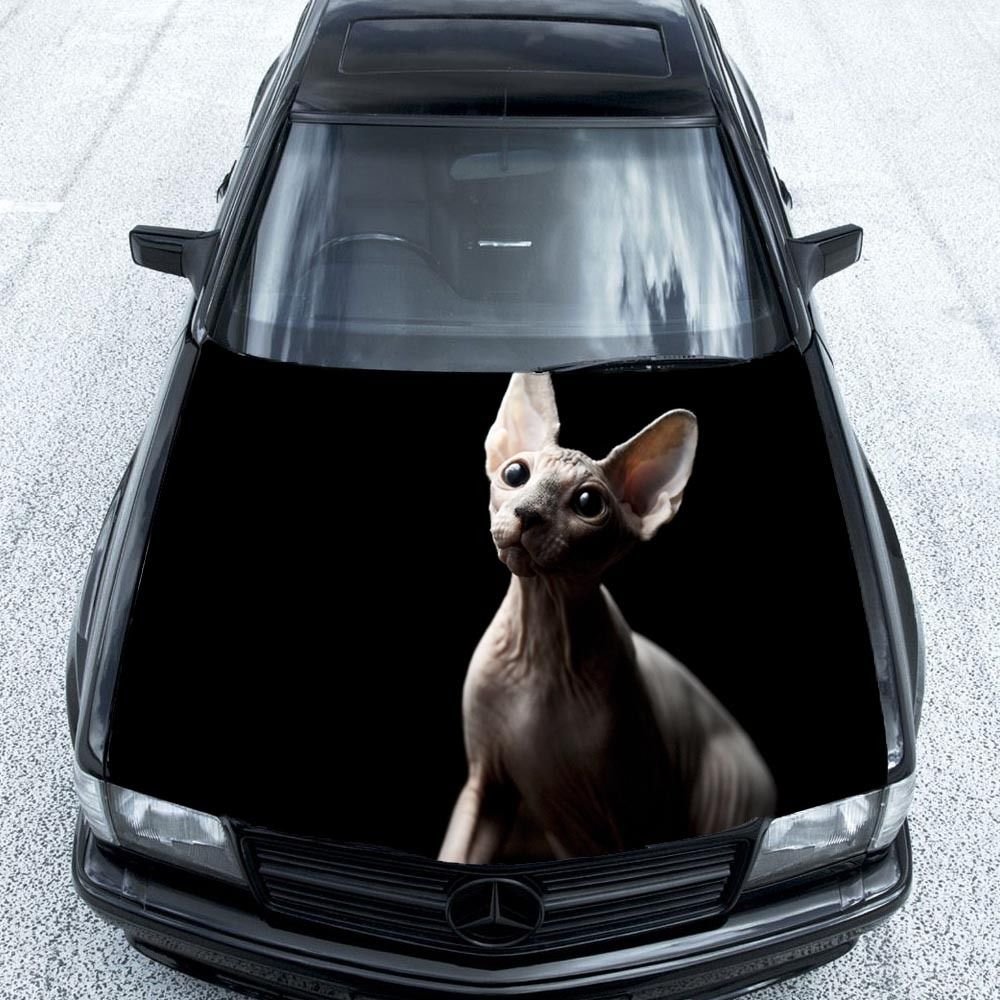 Sphynx Cat Pet Animals Full Color Car Decal Sticker KC-105 FRST