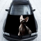 Sphynx Cat Pet Animals Full Color Car Decal Sticker KC-105 FRST