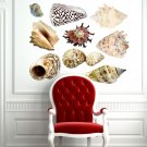Colorful Seashells Full Color Wall Decal Sticker AN-222 FRST