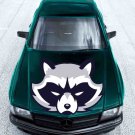 Raccoon Muzzle Animals Wildlife Full Color Car Decal Sticker KR-152 FRST