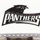 Carolina Panthers NFL American football wall mural sticker decal GM0446