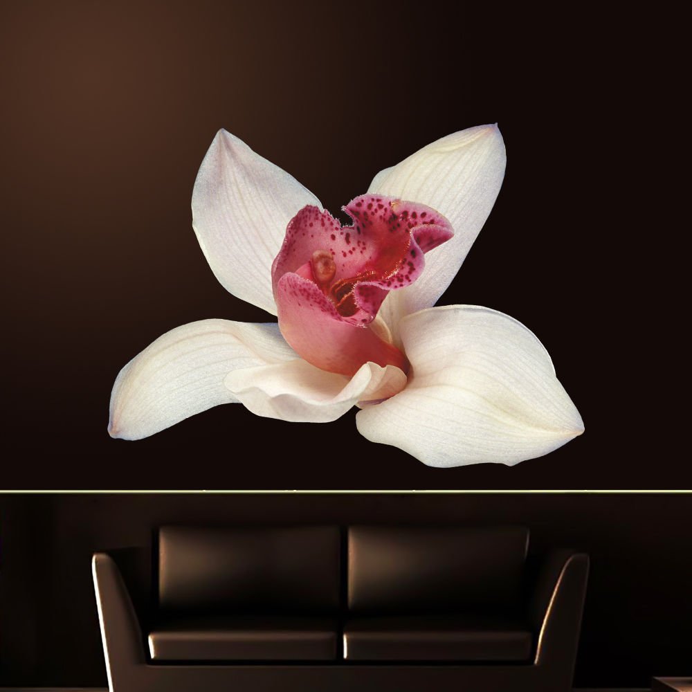 Orchid Flower Full Color Wall Decal Sticker AN-172 FRST