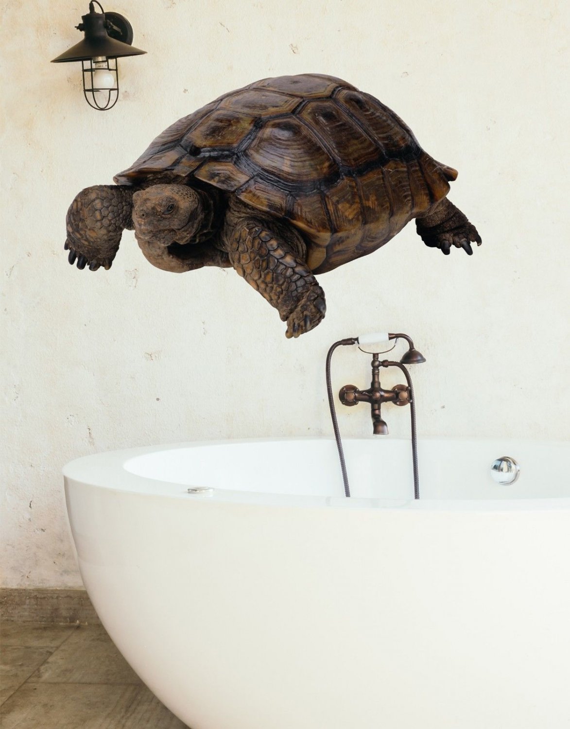Turtle Wild Animals Zoo Full Color Wall Decal Sticker KR-63 FRST