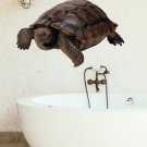 Turtle Wild Animals Zoo Full Color Wall Decal Sticker KR-63 FRST