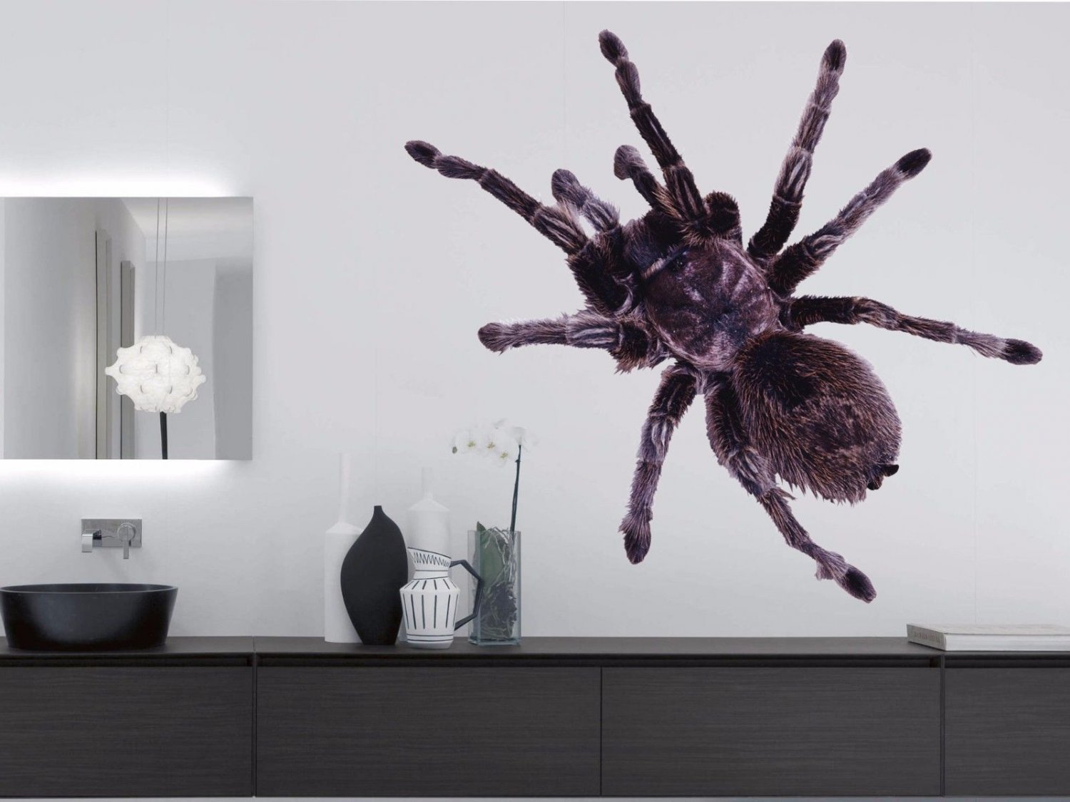 Tarantula Spider Wild Insects Full Color Wall Decal Sticker KR-58 FRST