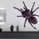 Tarantula Spider Wild Insects Full Color Wall Decal Sticker KR-58 FRST