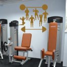 Sport Barbell gym athlete training apparatus girl Wall Art Sticker Decal 9624
