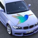 Hummingbird Wild Life Zoo Bird Full Color Car Decal Sticker KR-131 FRST