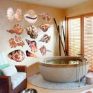 Colorful Seashells Ocean Nautical Full Color Wall Decal Sticker AN-143 FRST