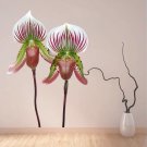 Orchid Flower Beauty Spa Full Color Wall Decal Sticker AN-171 FRST