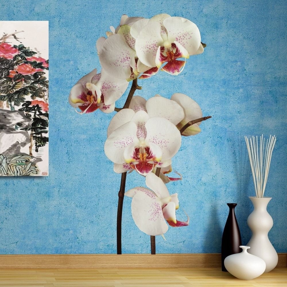 Orchid Flower Beauty Spa Full Color Wall Decal Sticker AN-131 FRST