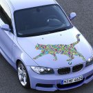 Multicolored Cat Pet Animals Full Color Car Decal Sticker KR-122 FRST