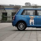 Chihuahua Dog Pet Animals Full Color Car Decal Sticker KR-151 FRST