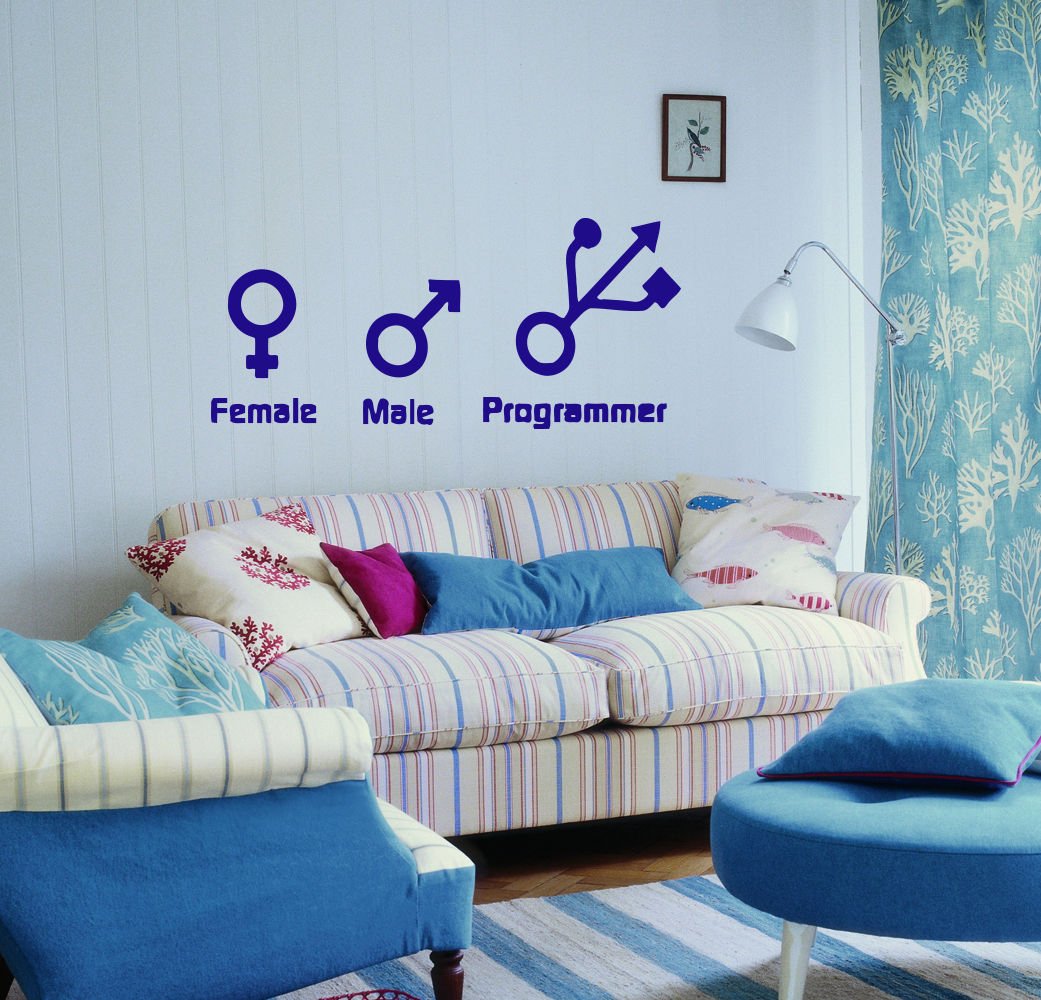 Female male programmer Kids Room Children Stylish Wall Art Sticker Decal 9548