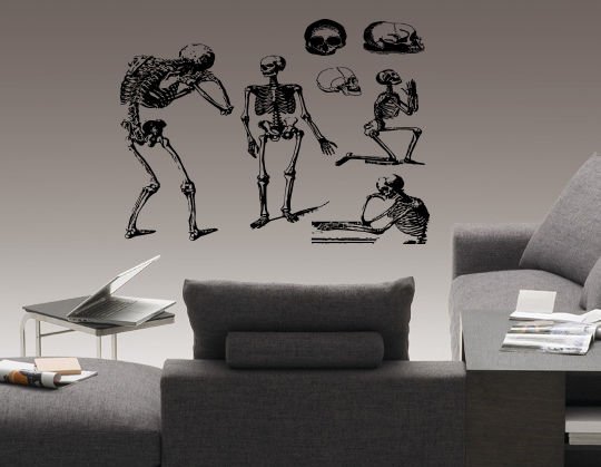 Human skeleton skull bones Kids Room Stylish Wall Art Sticker Decal 9947