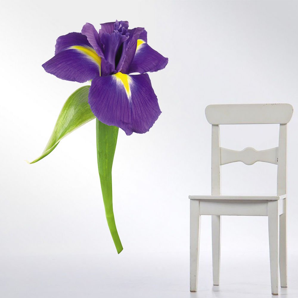 Iris Flower Beauty Spa Full Color Wall Decal Sticker AN-156 FRST