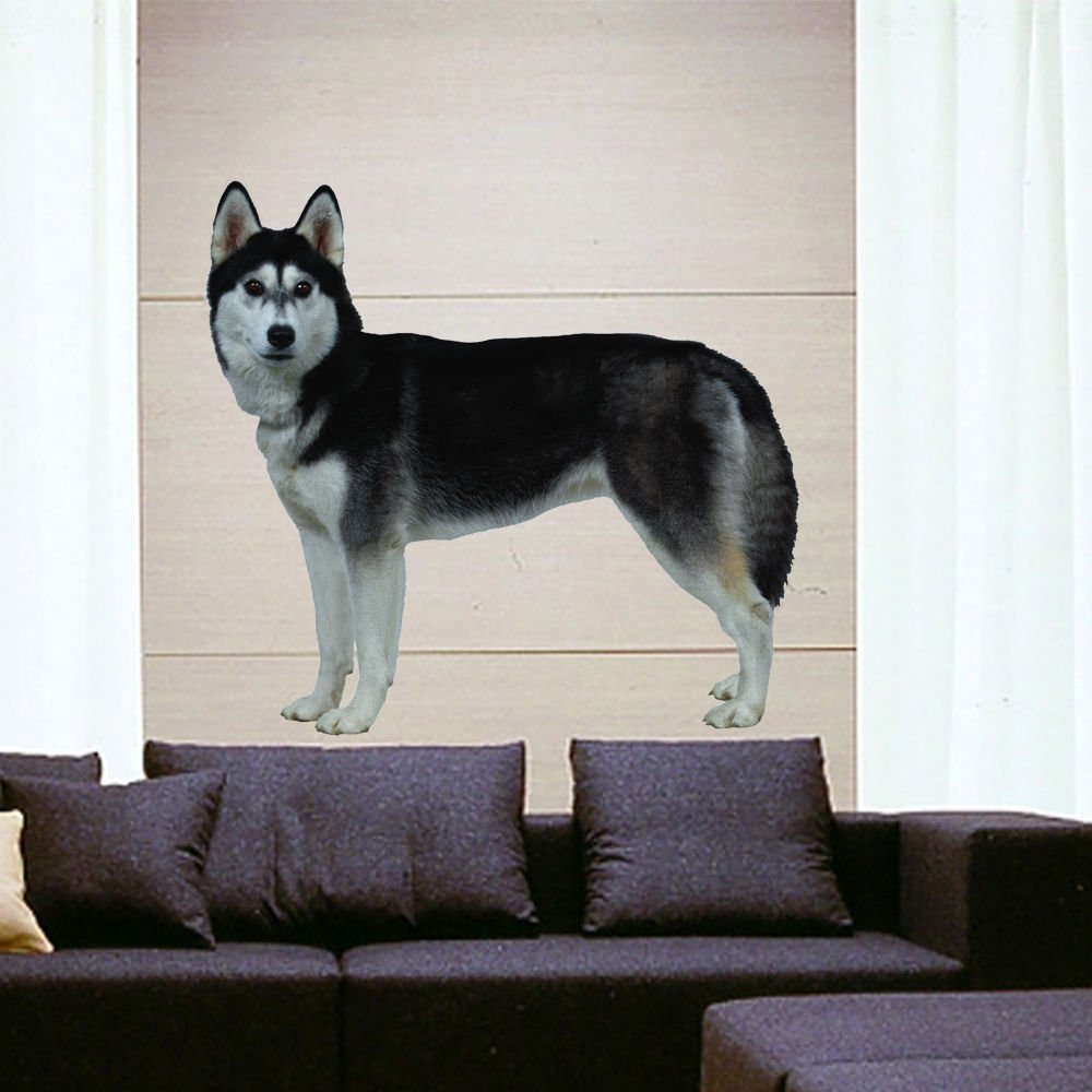 Husky Eskimo Dog Pet Full Color Wall Decal Sticker AN-112 FRST