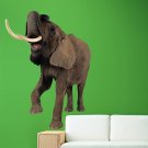 Elephant Wildlife Animal Zoo Full Color Wall Decal Sticker AN-117 FRST