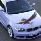 Girl On A Bird Cartoon Full Color Car Decal Sticker KC-97 FRST