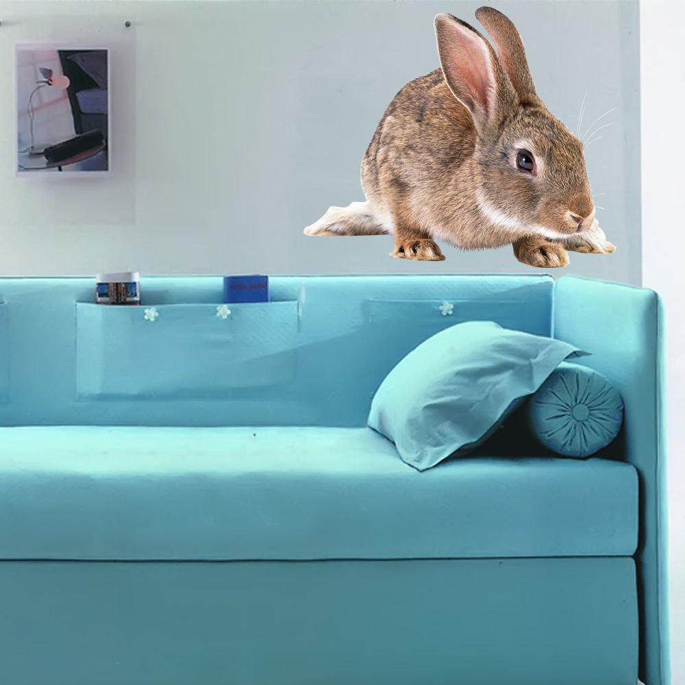 Grey Rabbit Full Color Wall Decal Sticker AN-185 FRST