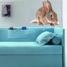 Grey Rabbit Full Color Wall Decal Sticker AN-185 FRST