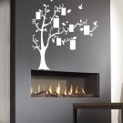 Family tree Family photo frame nature tree Stylish Wall Art Sticker Decal 9196