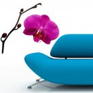 Orchid Flower Full Color Wall Decal Sticker AN-149 FRST