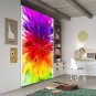 Graphic Design Abstraction Ornament Full Color Wall Decal Sticker AN-516 FRST