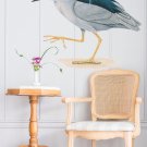 Bird Wildlife Forest Zoo Full Color Wall Decal Sticker KR-129 FRST