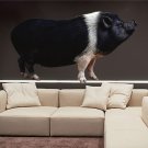 Black Pig Full Color Wall Decal Sticker AN-118 FRST