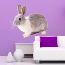 Little Rabbit Animal Zoo Grey Full Color Wall Decal Sticker AN-126 FRST