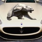 White Bear Wildlife Animals Full Color Car Decal Sticker KR-144 FRST