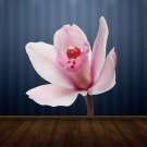 Orchid Flower Full Color Wall Decal Sticker AN-136 FRST
