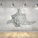 White Seashell Full Color Wall Decal Sticker AN-137 FRST