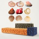 Colorful Seashells Full Color Wall Decal Sticker AN-217 FRST