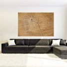 Wooden Plank Full Color Wall Decal Sticker AN-237 FRST