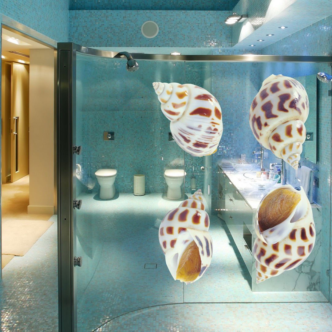Colorful Seashells Ocean Nautical Full Color Wall Decal Sticker AN-193 FRST
