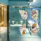 Colorful Seashells Ocean Nautical Full Color Wall Decal Sticker AN-193 FRST