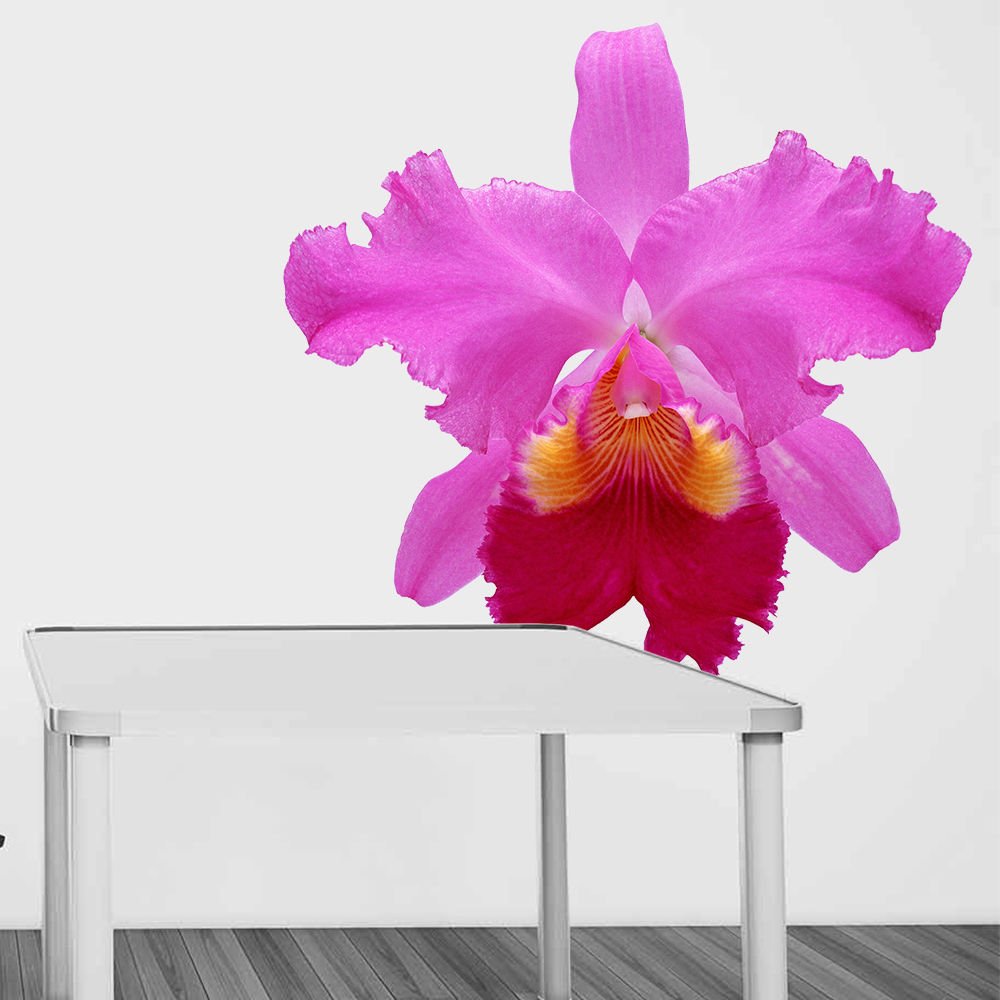 Orchid Flower Full Color Wall Decal Sticker AN-133 FRST