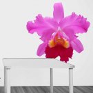 Orchid Flower Full Color Wall Decal Sticker AN-133 FRST