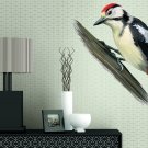 Bird Wildlife Forest Zoo Full Color Wall Decal Sticker KR-45 FRST