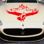 Eagle Bird Forest Wildlife Full Color Car Decal Sticker KR-133 FRST