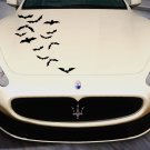 Bats Wildlife Night  Full Color Car Decal Sticker KC-154 FRST