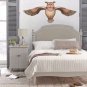 Owl Bird Fly Animals Wildlife Full Color Wall Decal Sticker KR-112 FRST